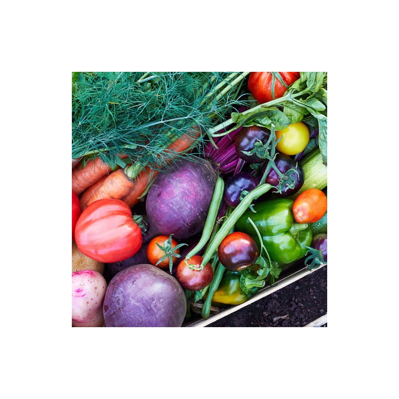 Panier famille BIO 5 kg - fruits & légumes